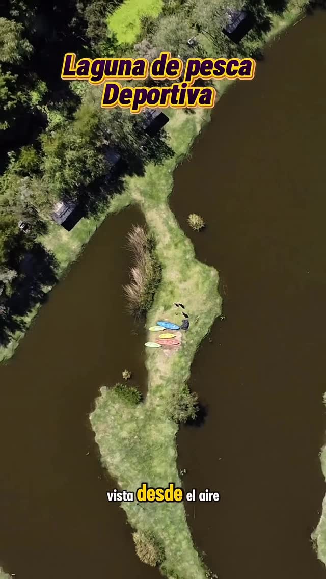 641100471_914711721277815_7690105333382802451_n